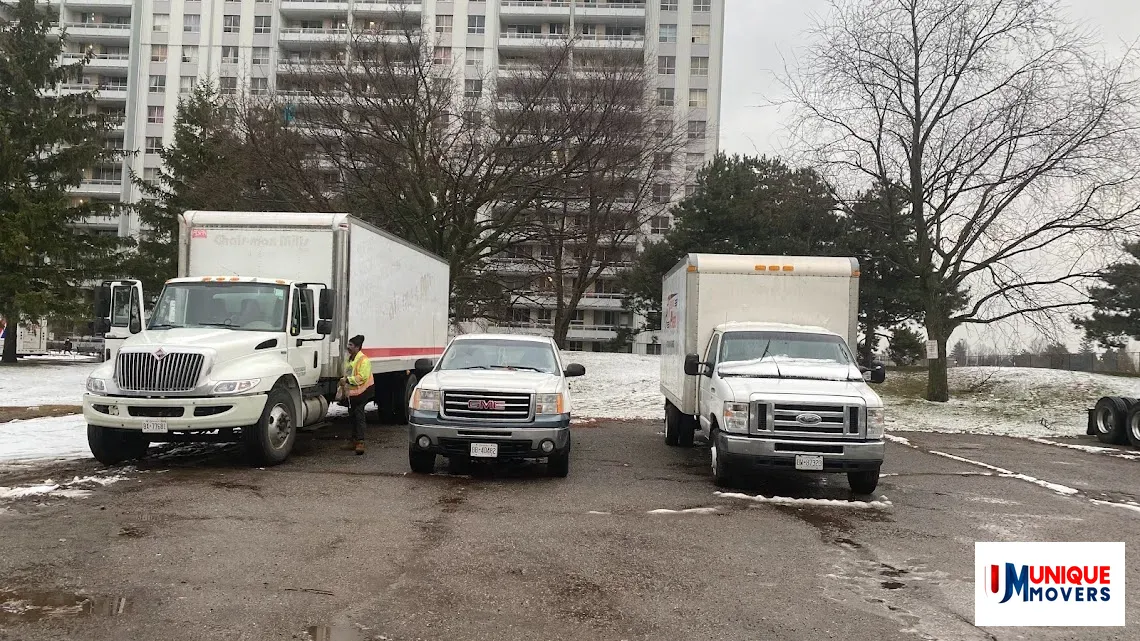Unique Movers Team