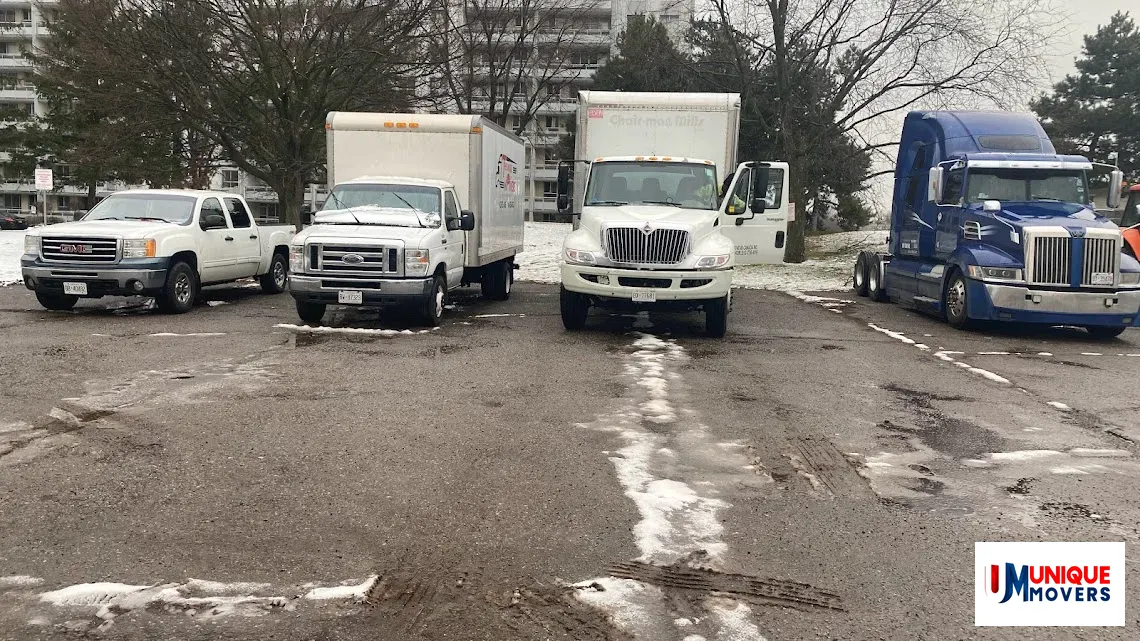 Unique Movers Team